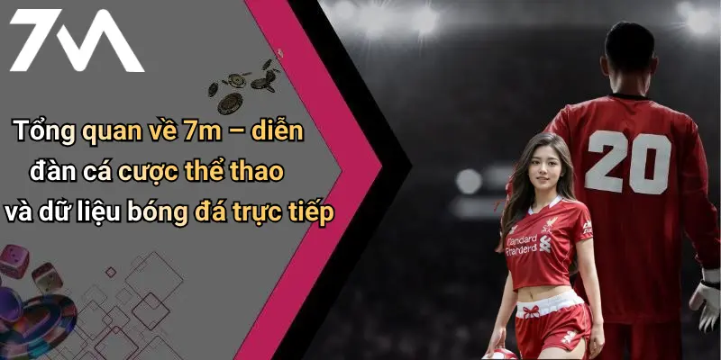 Tổng quan về 7m – diễn đàn cá cược thể thao và dữ liệu bóng đá trực tiếp