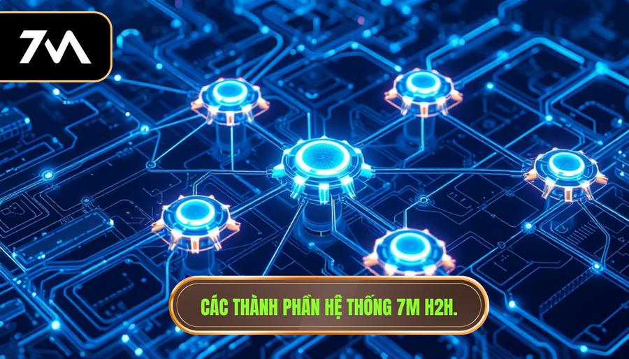 Các thành phần hệ thống 7M H2H.