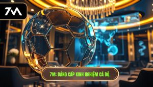 7M_ Đẳng cấp kinh nghiệm cá độ.