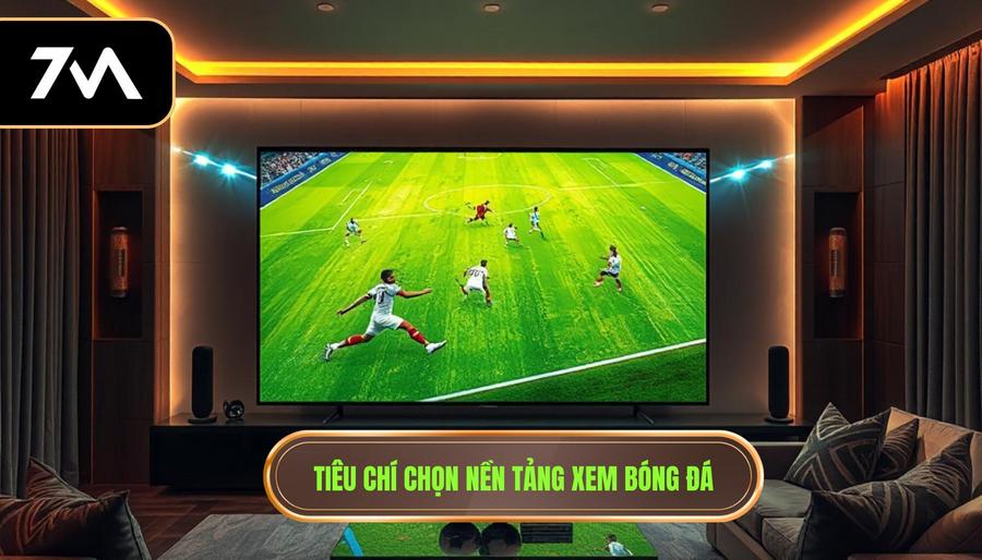Các tiêu chí đánh giá một nền tảng xem bóng đá trực tiếp chất lượng
